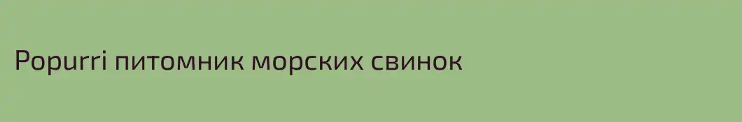 Popurri питомник морских свинок